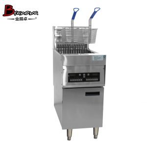 Electric fryer